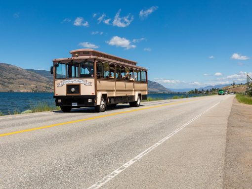 Grape Savvy Trolley Co