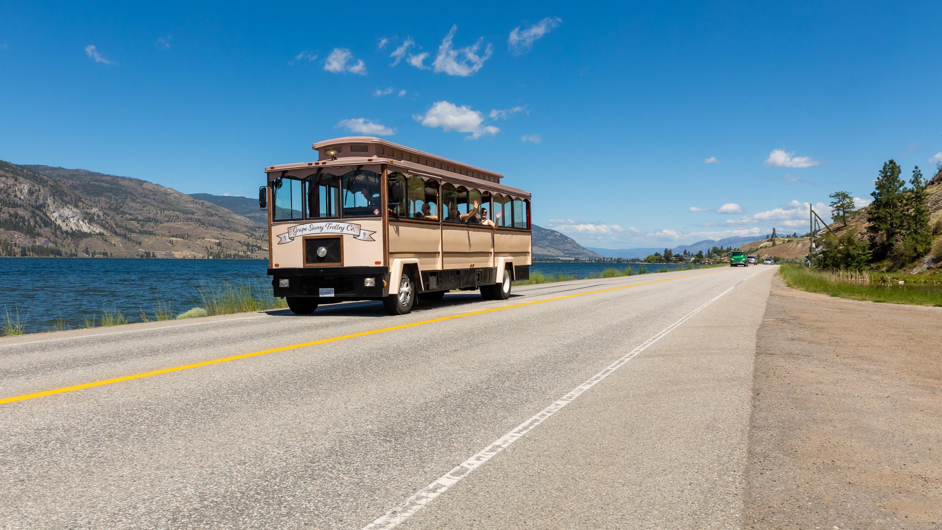 Grape Savvy Trolley Co