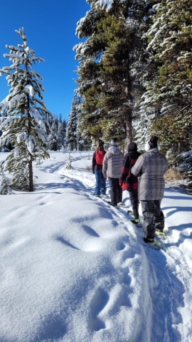 group of staff snowshoeing at nickel plate nordic centre with beuatiful blue skies and snow on the trees