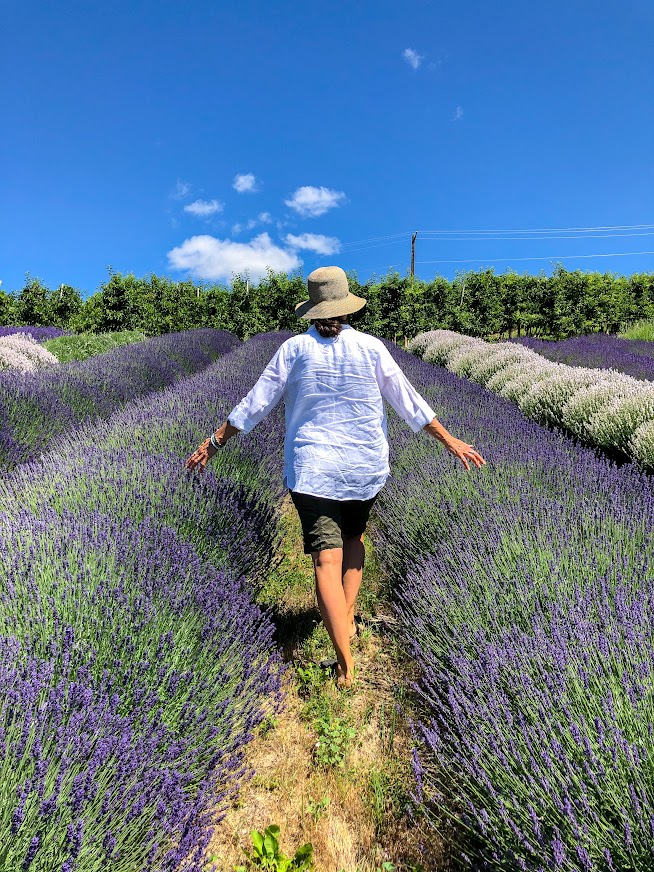 Playlist Orchard & Guest House Person walking through the Lavender Farm