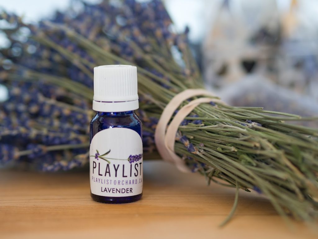 Playlist Orchard & Guest House Lavender Farm shop