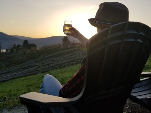 Playlist Orchard & Guest House Lavender Farm wine salut at sunset