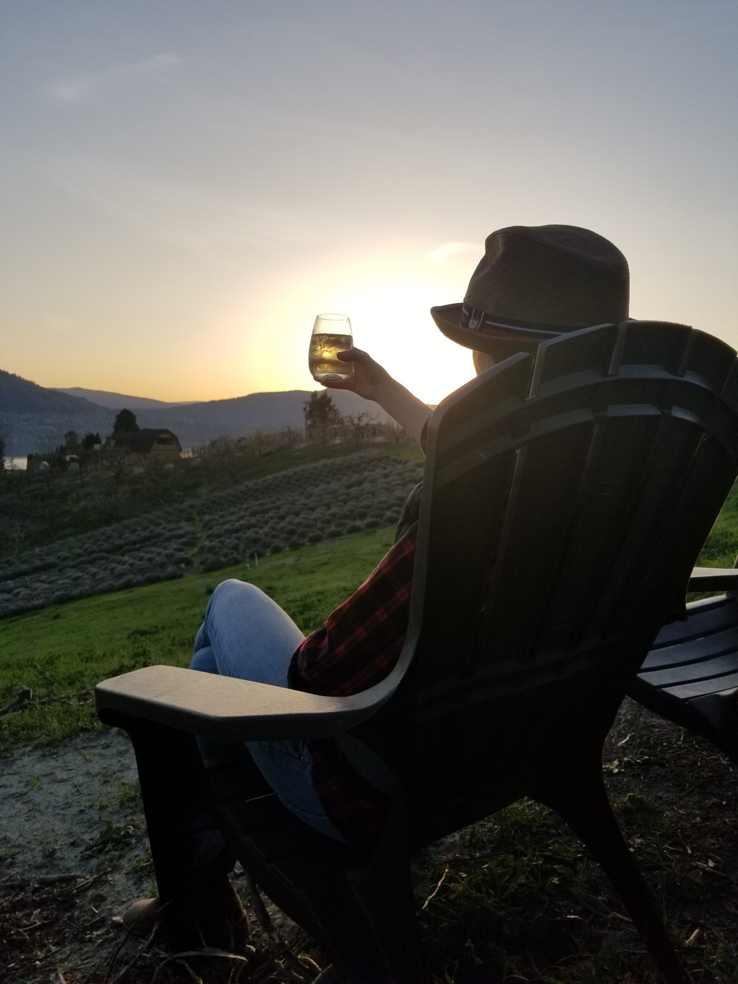 Playlist Orchard & Guest House Lavender Farm wine salut at sunset