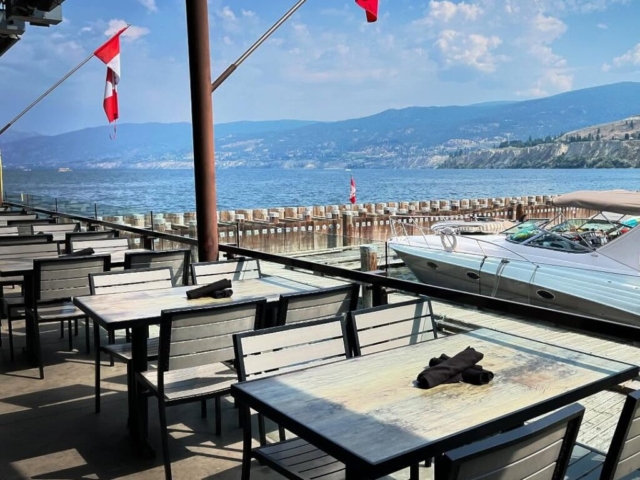 hooded merganser patio