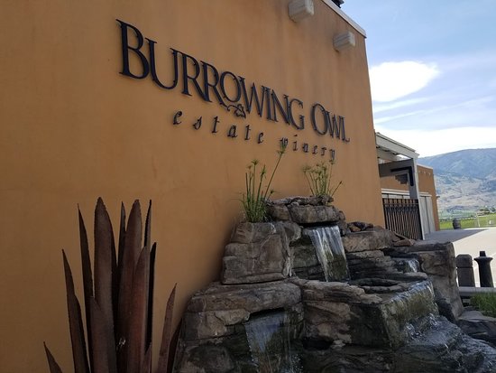 Burrowing Owl Estate Winery