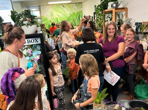 Sahara Garden Art Co