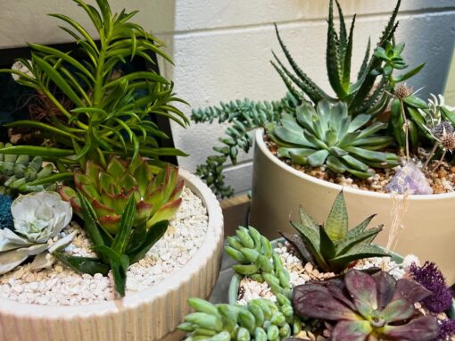 Sahara Garden Art Co