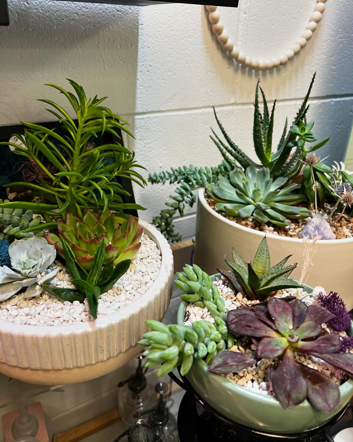 Sahara Garden Art Co