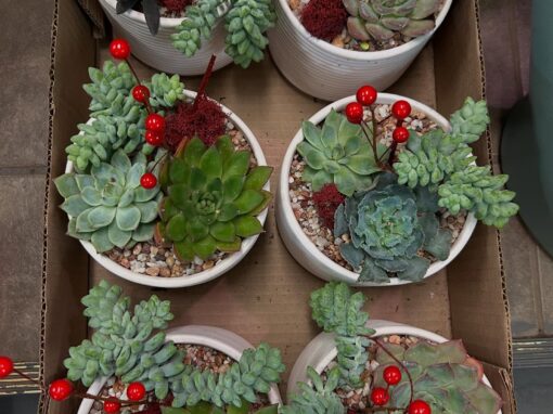 Sahara Garden Art Co