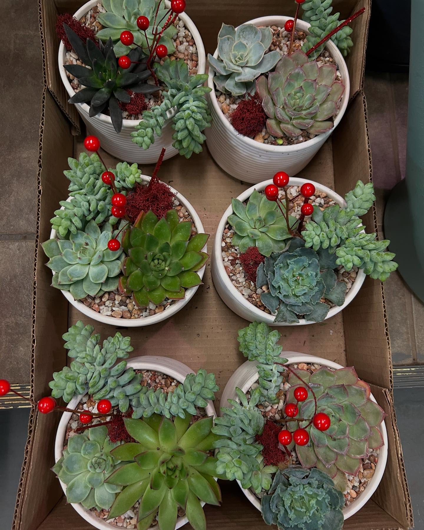 Sahara Garden Art Co