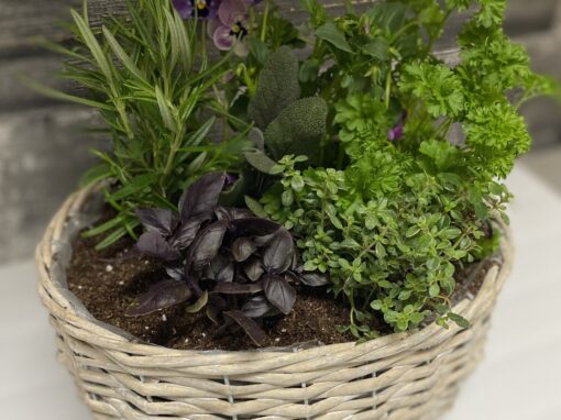 Sahara Garden Art Co