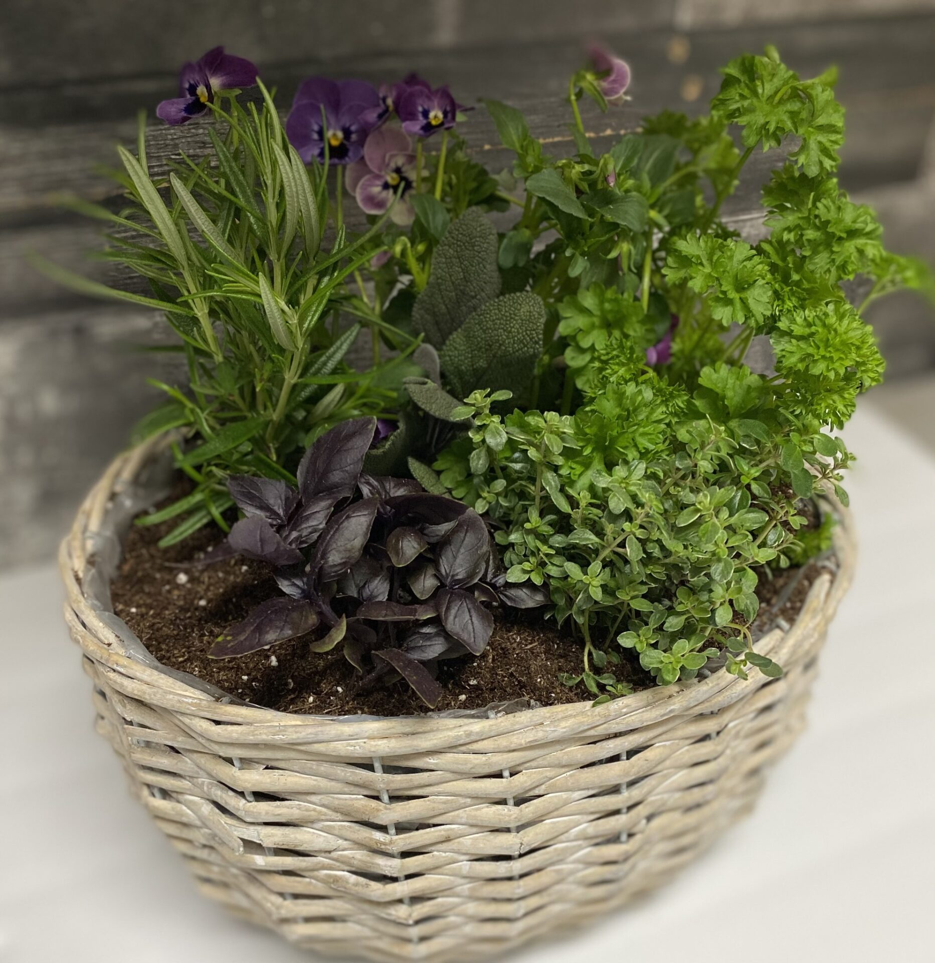 Sahara Garden Art Co