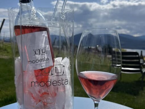 Modesta Winery