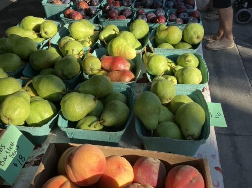 Penticton Farmers Market Fresh Produce