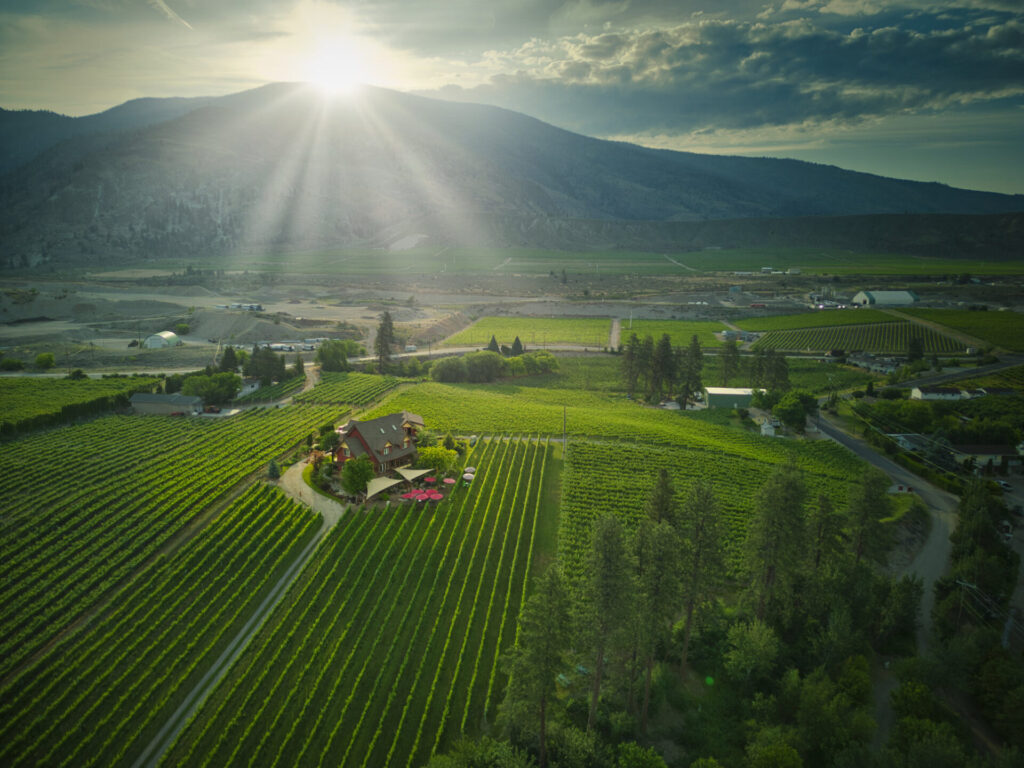 Oliver/Osoyoos Wine Region - River Stone Winery
