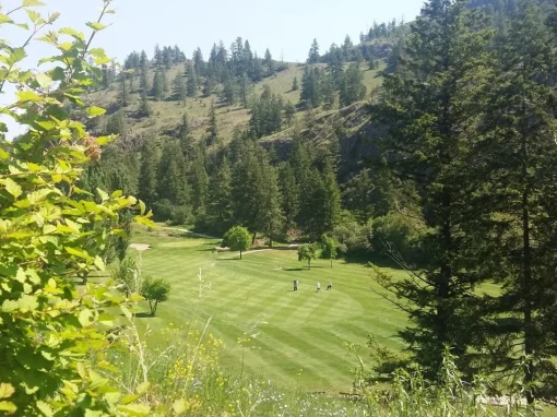 Twin Lakes Golf Course & RV Park