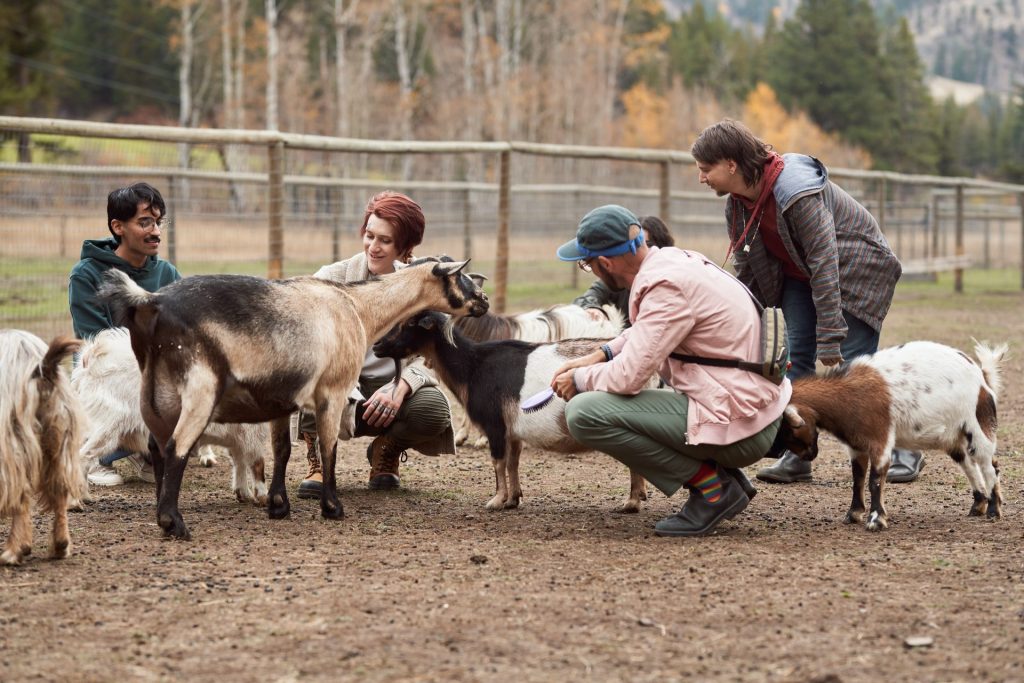 GottaGoat Farm